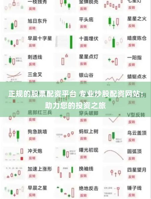 正规的股票配资平台 专业炒股配资网站：助力您的投资之旅