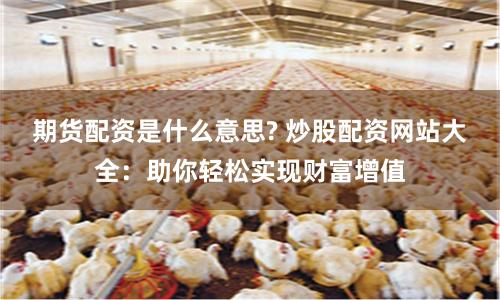 期货配资是什么意思? 炒股配资网站大全：助你轻松实现财富增值